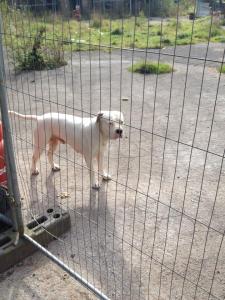 10660266_10204996179484760_6524918254389844786_n